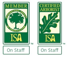 ISA Arborist on staff